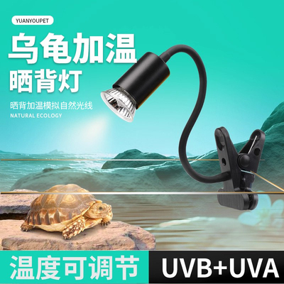 乌龟晒背灯加热保温灯杀菌