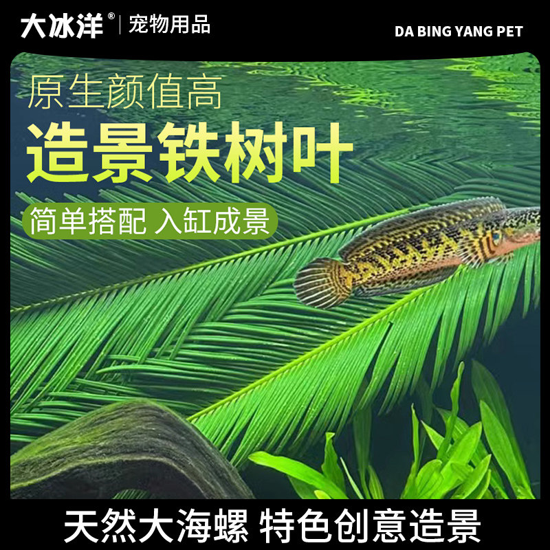 天然铁树叶沉叶鱼缸造景南美缸原生缸装饰树叶网红沉叶黄色树叶图片