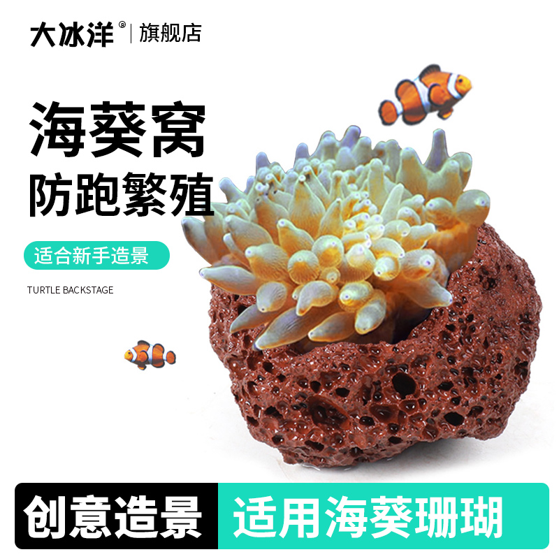 奶嘴海葵窝小丑鱼繁殖罐深海淡海通用珊瑚窝地毯鱼窝水草鱼缸造景
