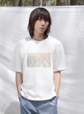 DDCHENG原创小众2021圆领纯棉定制宽松海滩印花短袖T恤 dd cheng