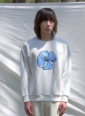 DDCHENG原创小众2021年春季蓝色花卉印花卫衣印花植绒双工艺长袖