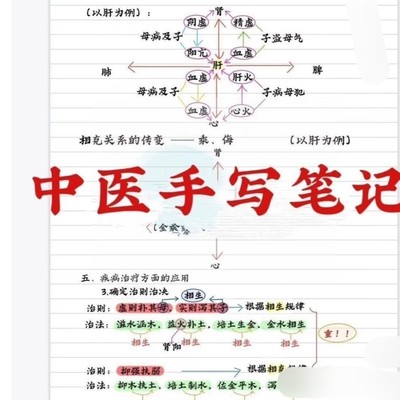 中医考研学霸笔记中医手写笔记