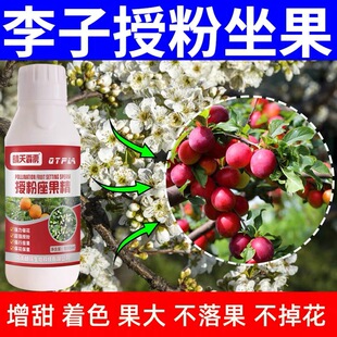 李子授粉座果精李子树授粉药促花促果防落防畸桃树梨树授粉药正品