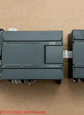 WELLAUTO华贸欧特PLC一套,二手拆机,型号213-1