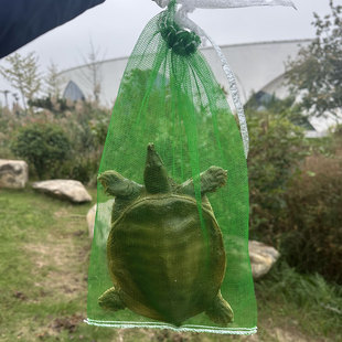 网袋纱网袋子水产螃蟹龙虾甲鱼蚂蚱加厚小网眼网兜乌龟家禽小网袋