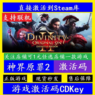 steam神界原罪2入库激活码CDKey 在线联机DivinityOriginal Sin 2