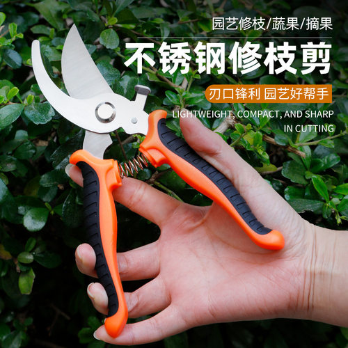 不锈钢园艺剪刀修枝剪省力修剪树
