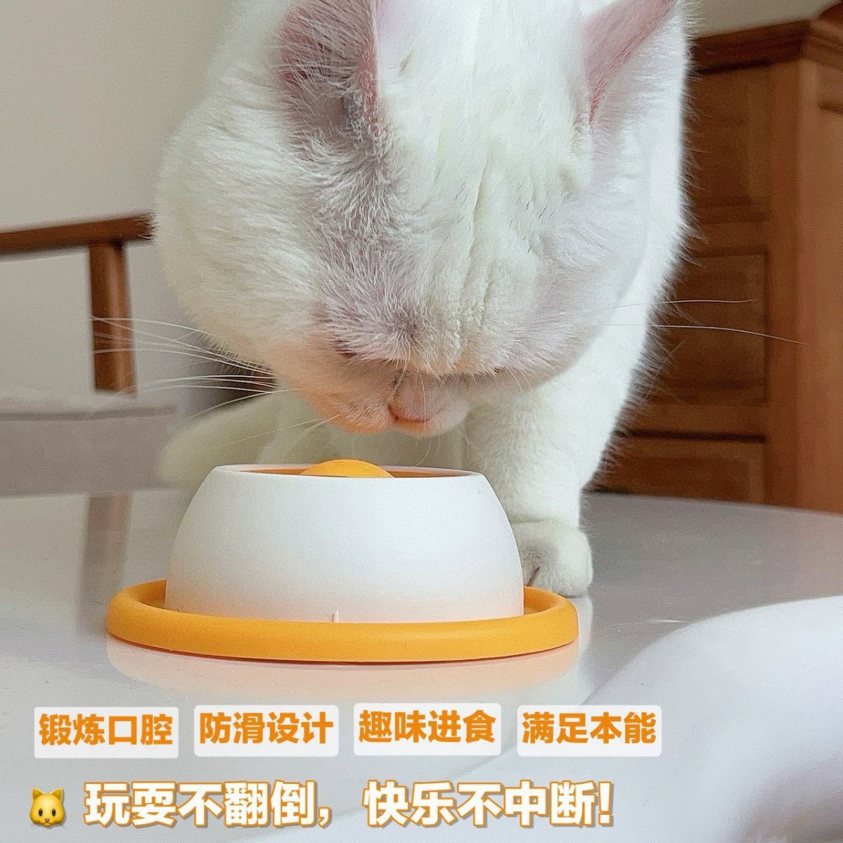 跨境宠物藏食慢食碗舔舔乐狗狗丰