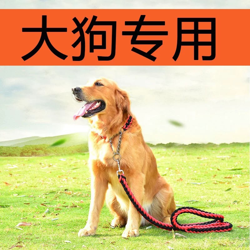 大型犬项圈牵引绳狗链遛狗绳子大