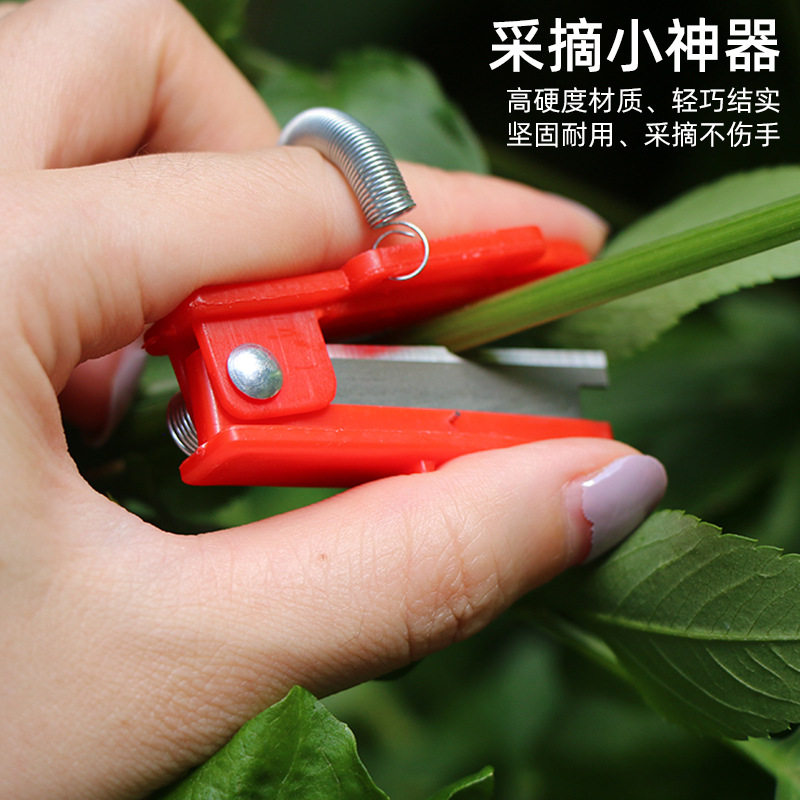 采摘小铡刀拇指刀葡萄掐尖黄瓜蔬
