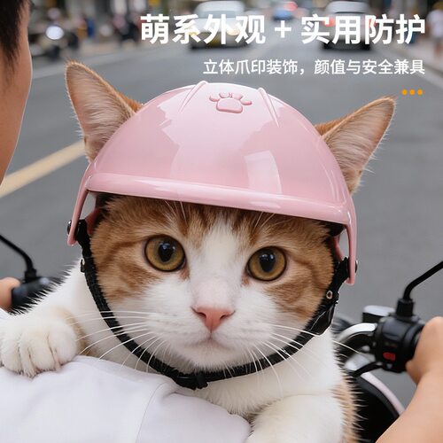 猫咪狗狗创意头盔外出骑行防护帽