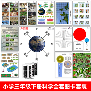 小学科学三年级下册实验方向图卡位置月相的变化动物实验材料图卡