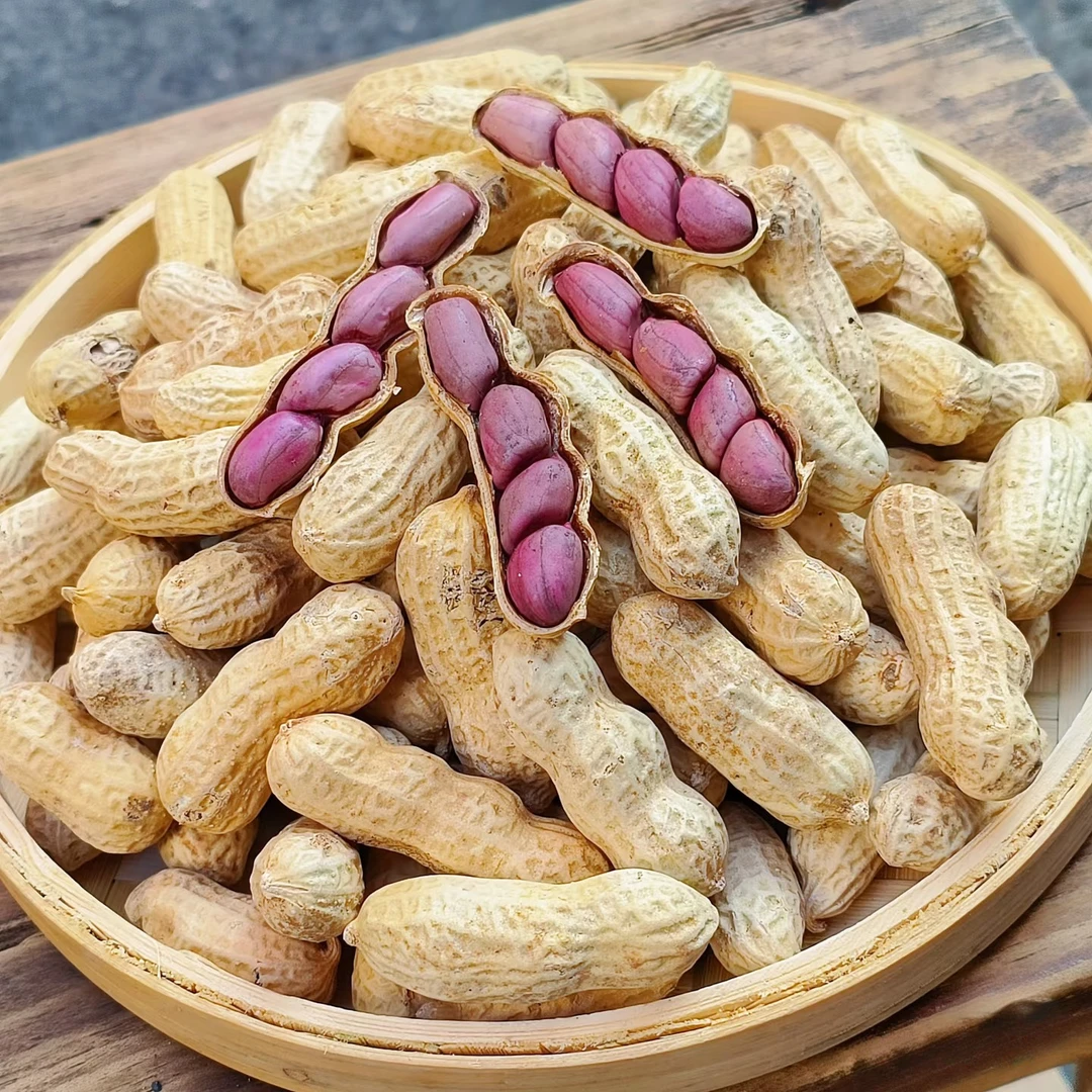 龙岩湿烤紫衣花生水煮红衣花生咸香味闽西特产酥脆下酒美味零食