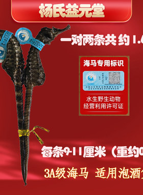 正品大海马干货一公一母泡酒煲汤
