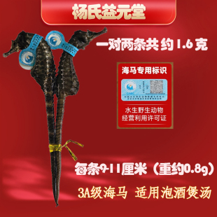 每条约9-11厘米长小海马干货泡酒煲汤传统滋补品海马干片药食同源