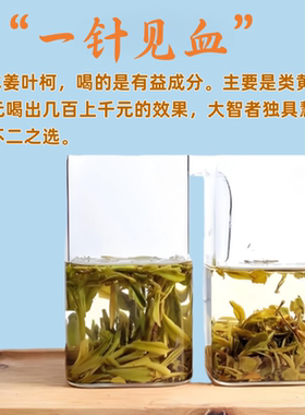 木姜叶柯多穗石柯玉叶石柯甜茶叶茶碎末尖碎断芽茶沫明嫩芽碎茶叶