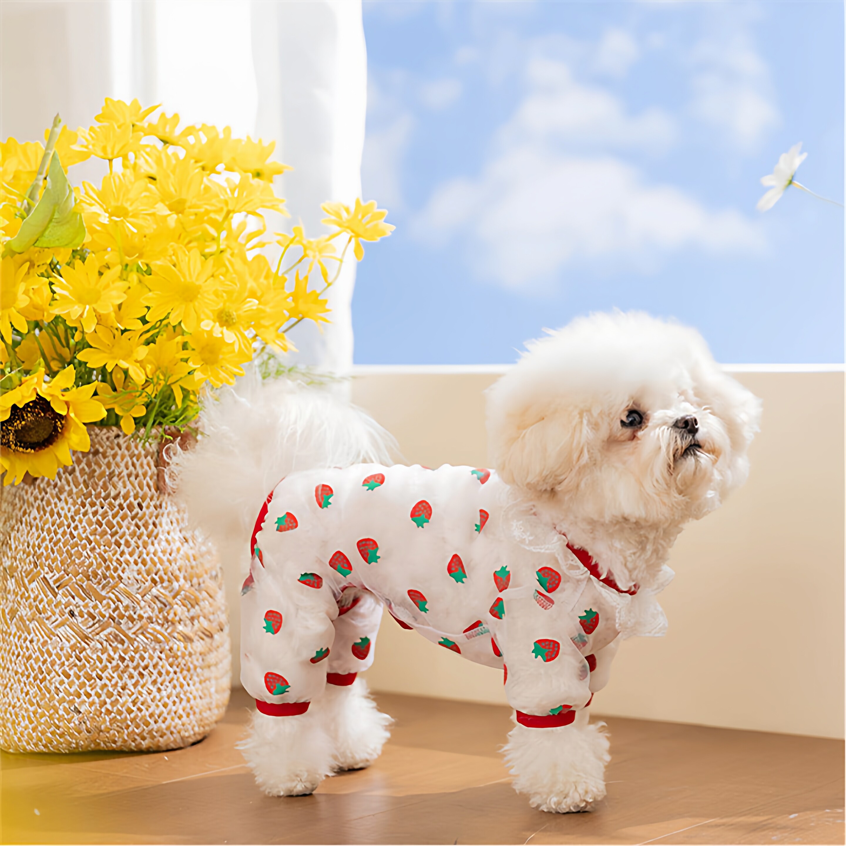 小型犬春夏狗狗防掉毛全包四脚衣图片