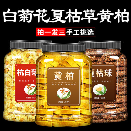 白菊花夏枯草黄柏茶中药材