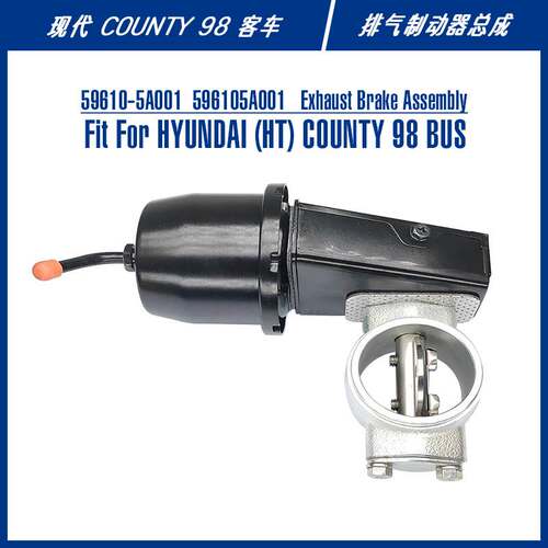 596105A000 Exhaust Brake Assembly For COUNTY98排气制动器总成