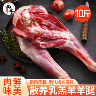 羊肉新鲜10斤羊腿肉草原散养乳羔羊整腿肉烧烤生羊肉