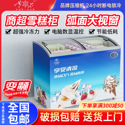 雪花-24℃低温冷冻弧面雪糕柜