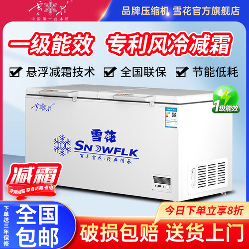 雪花商用大冰柜一级能效冷柜