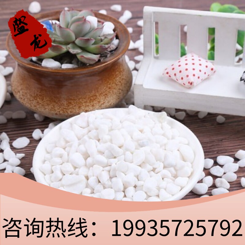 江西白石子白色石头白色砾石小石其它园艺用品