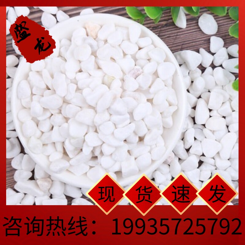 黑龙江白石子白色石头白色砾石造景小石子铺面花盆庭院造景装饰