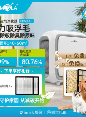 猫狗专用除臭吸浮毛发RHT空气净化器香港bMOLA 除甲醛宠物过敏原