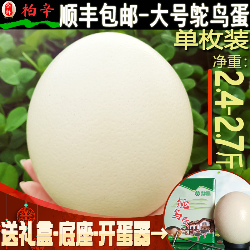 巨大100%新鲜鸵鸟蛋2.5斤左右