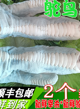 2个装 新鲜鸵鸟掌现杀肉批发散养鸵鸟脚爪子巨型大凤爪子顺丰包邮
