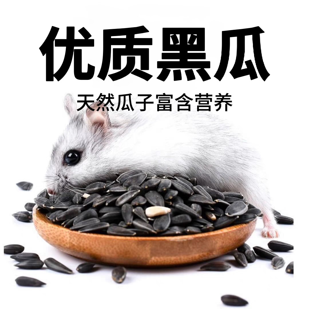 仓鼠磨牙小黑瓜子花枝鼠金丝熊油葵瓜子零食用品营养主粮仓鼠饲料