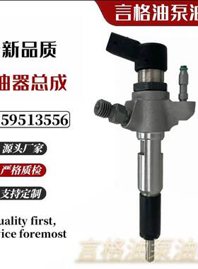 50274V05适用柴油发动机共轨喷油器总成A2C59513556 9802448680