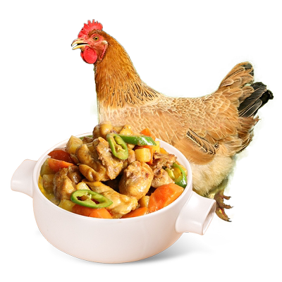 温氏三黄鸡800g*2只散养农村