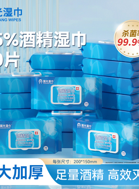 国光75%酒精杀菌消毒湿巾便携清洁湿纸巾大包家用50抽x24包整箱装