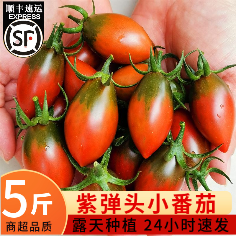 子弹头柿子紫圣女果5斤迷彩小番茄新鲜水果自然熟生吃西红柿蔬菜3