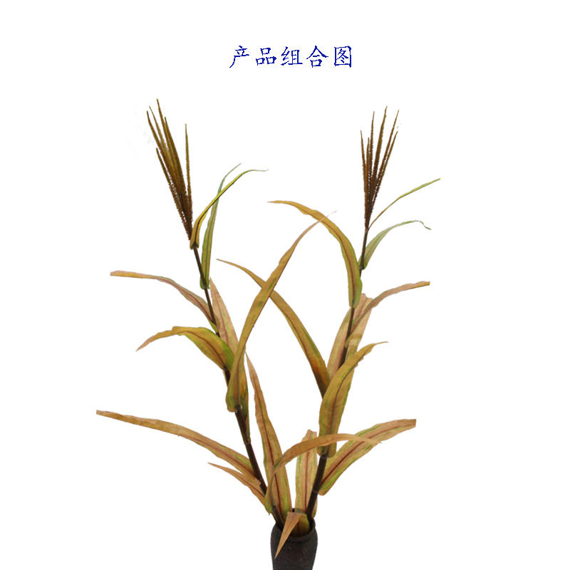 仿真花玉米绿植秋色玉米棒子玉米叶农作物工程博物馆拍摄厂家