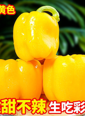 彩椒新鲜生吃甜椒黄色圆椒不辣太空椒红椒辣椒维C水果灯笼椒现摘