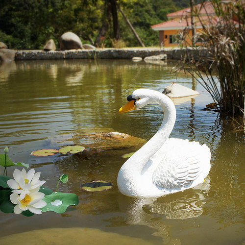 新款户外花园别墅仿真浮水白天鹅