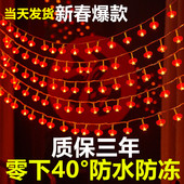 2024新款 新年彩灯闪灯串灯满天星小红灯笼家用过年装 饰灯春节布置