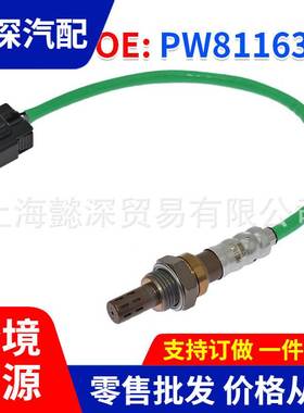 汽车氧传感器 PW811631 MD182691 258005255 适用于Proton GEN