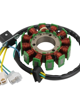 摩托车定子线圈配件适配GT250 GV250 2002-2010 12级电动车改装