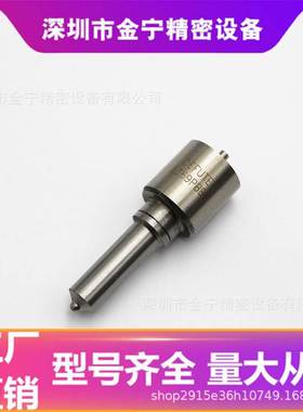 P型共轨喷油嘴 L369PBB 适用于德尔福 适用于重汽二气门336PS 8孔