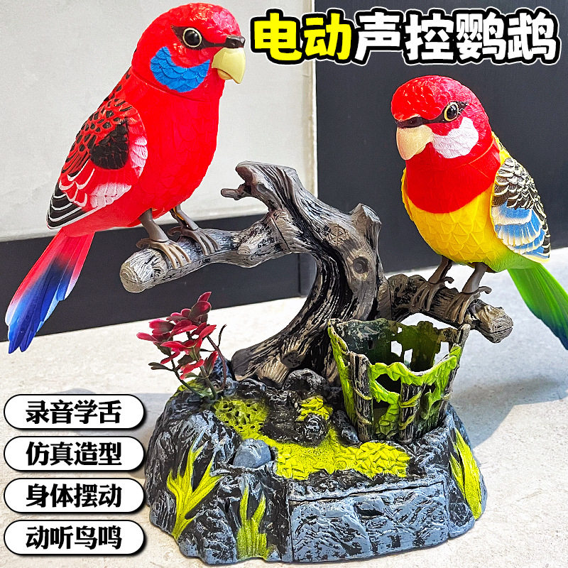 德国会说话的小鸟声控感