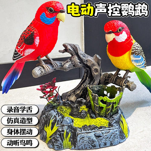 德国会说话的小鸟声控感