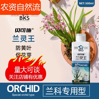 贝可施兰灵王兰花专用营养液兰花通用水培营养促花快速生根旗舰店