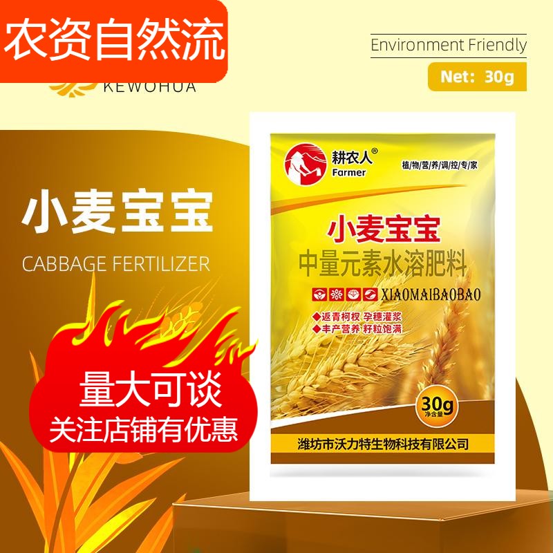 科沃华小麦宝宝种植用营养穗大粒饱生根壮苗水溶叶面肥百鸿农资