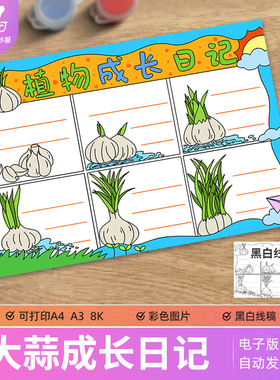 大蒜生长日记植物成长日记观察日记手抄报电子模版黑白线稿A3A4