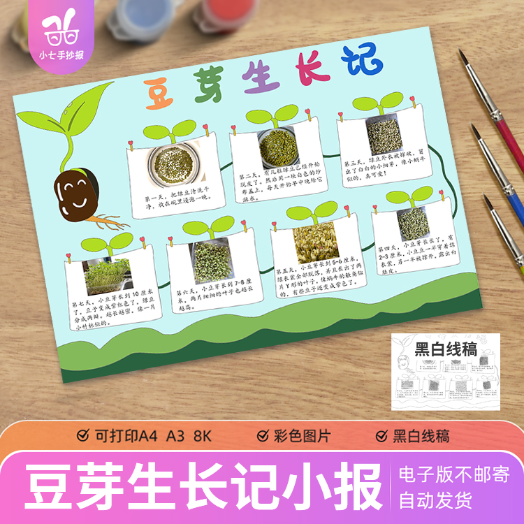 豆芽生长记手抄报电子版模板小学生记录观察蔬菜植物生长日记线稿