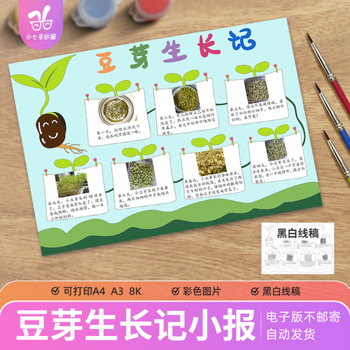 豆芽生长记手抄报电子版模板小学生记录观察蔬菜植物生长日记线稿